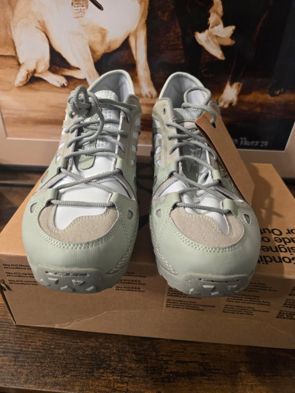 Nike ACG Air Exploraid Jade Horizon and White FV2925-300 Men's Sz 11 Hiking NEW - Picture 5 of 14